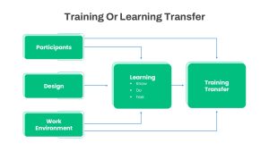 Training or Learning Transfer Process Flow Slide