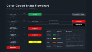 Color-Coded Medical Triage Flowchart Black