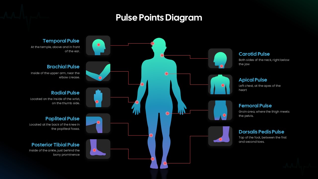 Human Body Pulse Points Diagram Presentation Slide