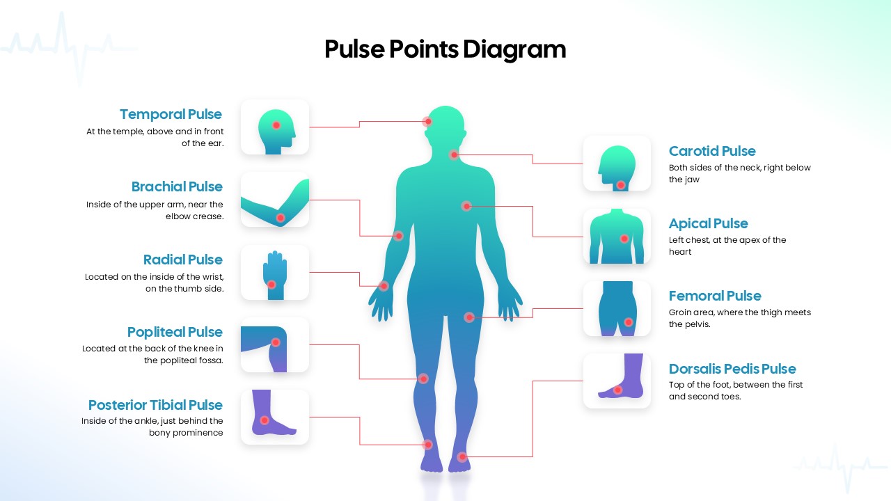 Human Body Pulse Points Diagram Template