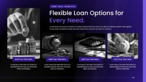 Banking and Finance Template Loan Options