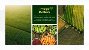 Agriculture Sustainability Company Profile Gallery Slide