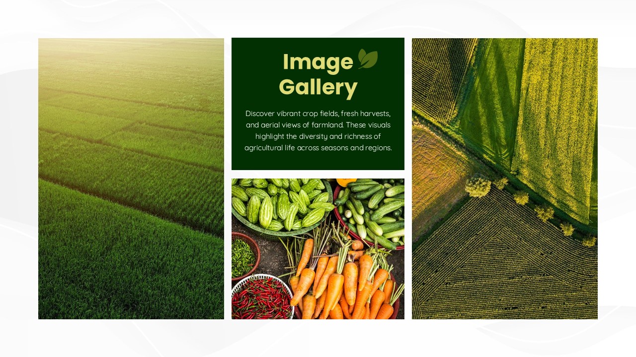 Agriculture Sustainability Company Profile Gallery Slide