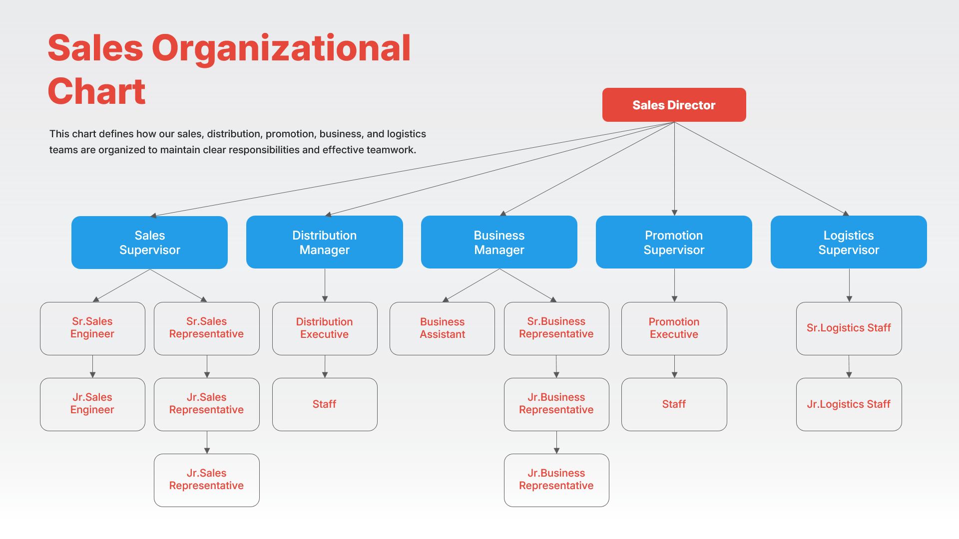 Sales Organizational Chart Hierarchy Diagram PPT Template