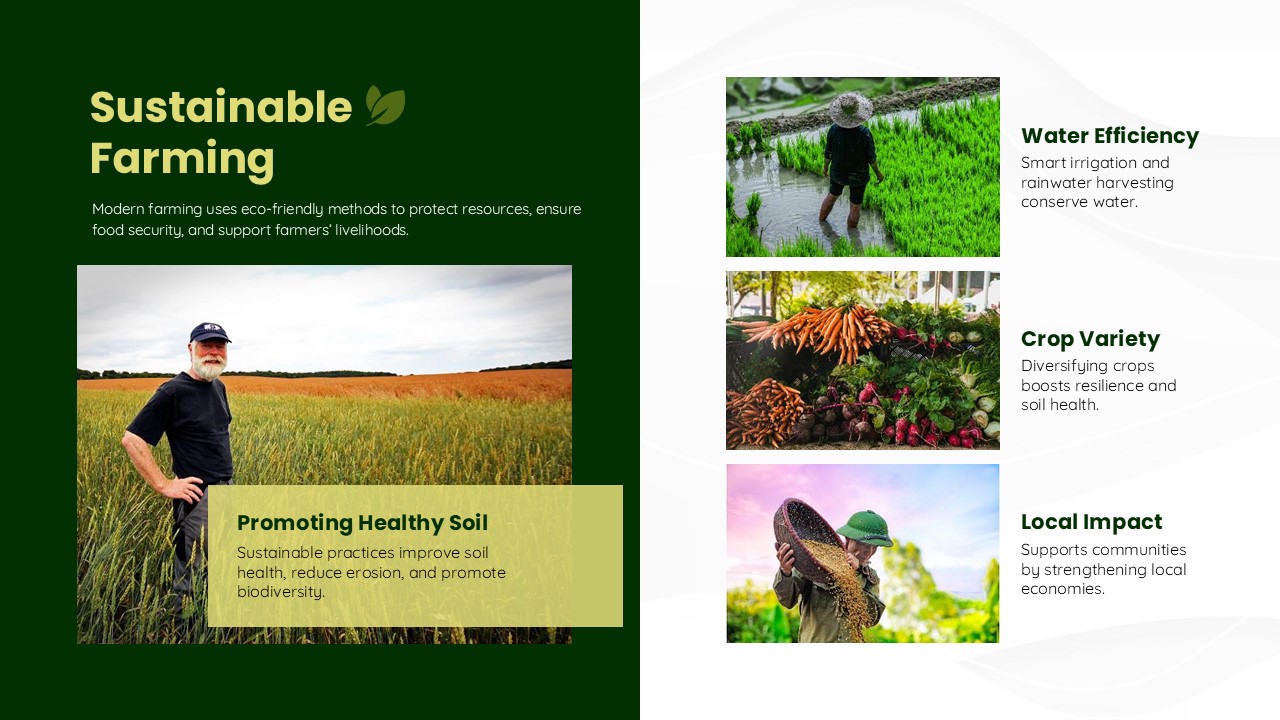 Sustainability Farming Presentation Slide