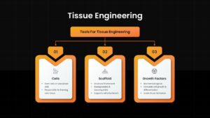 Tissue Engineering Template PowerPoint and Google Slides dark theme