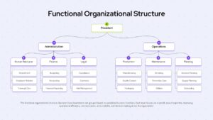 Functional Organizational Structure PPT Template
