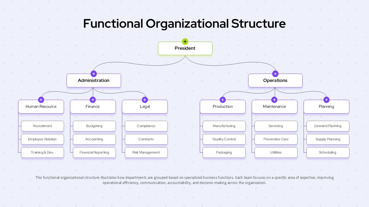 Functional Organizational Structure PPT Template