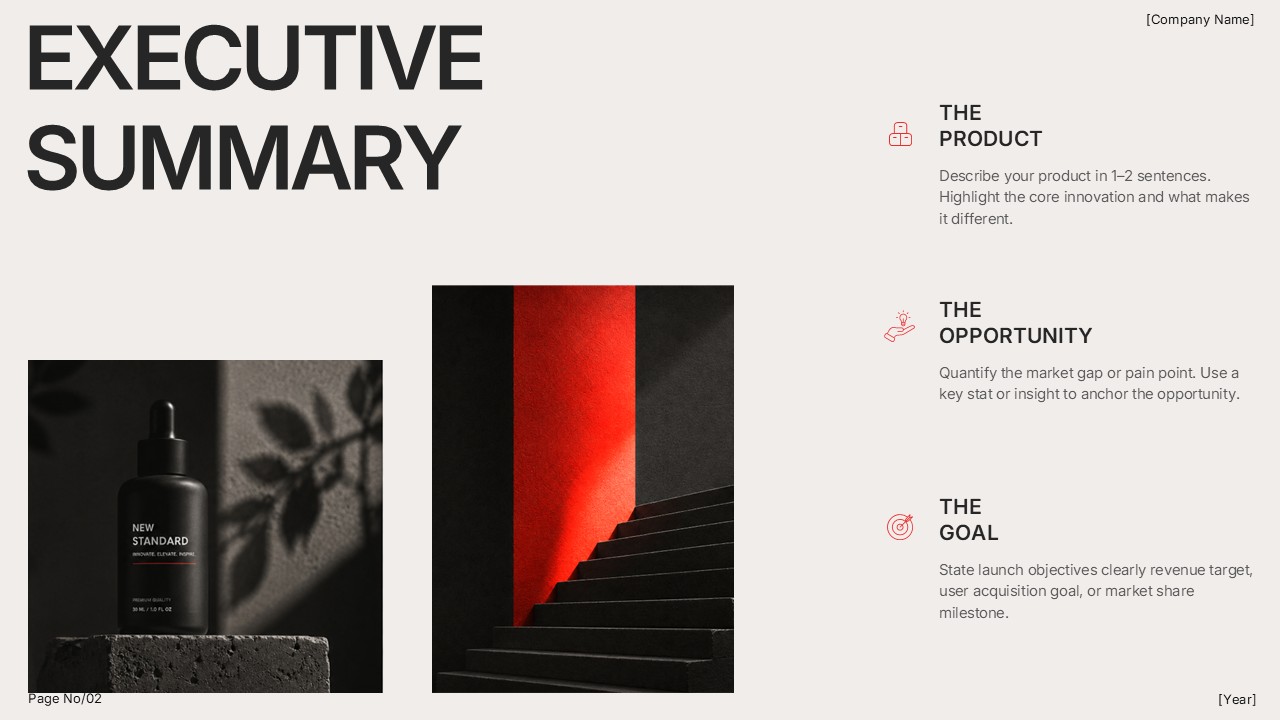 Marketing Plan Executive Summary PPT Template
