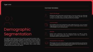 demographic segmentation audience analysis presentation slide