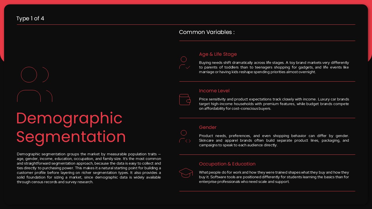 demographic segmentation audience analysis presentation slide