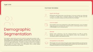demographic segmentation presentation slide