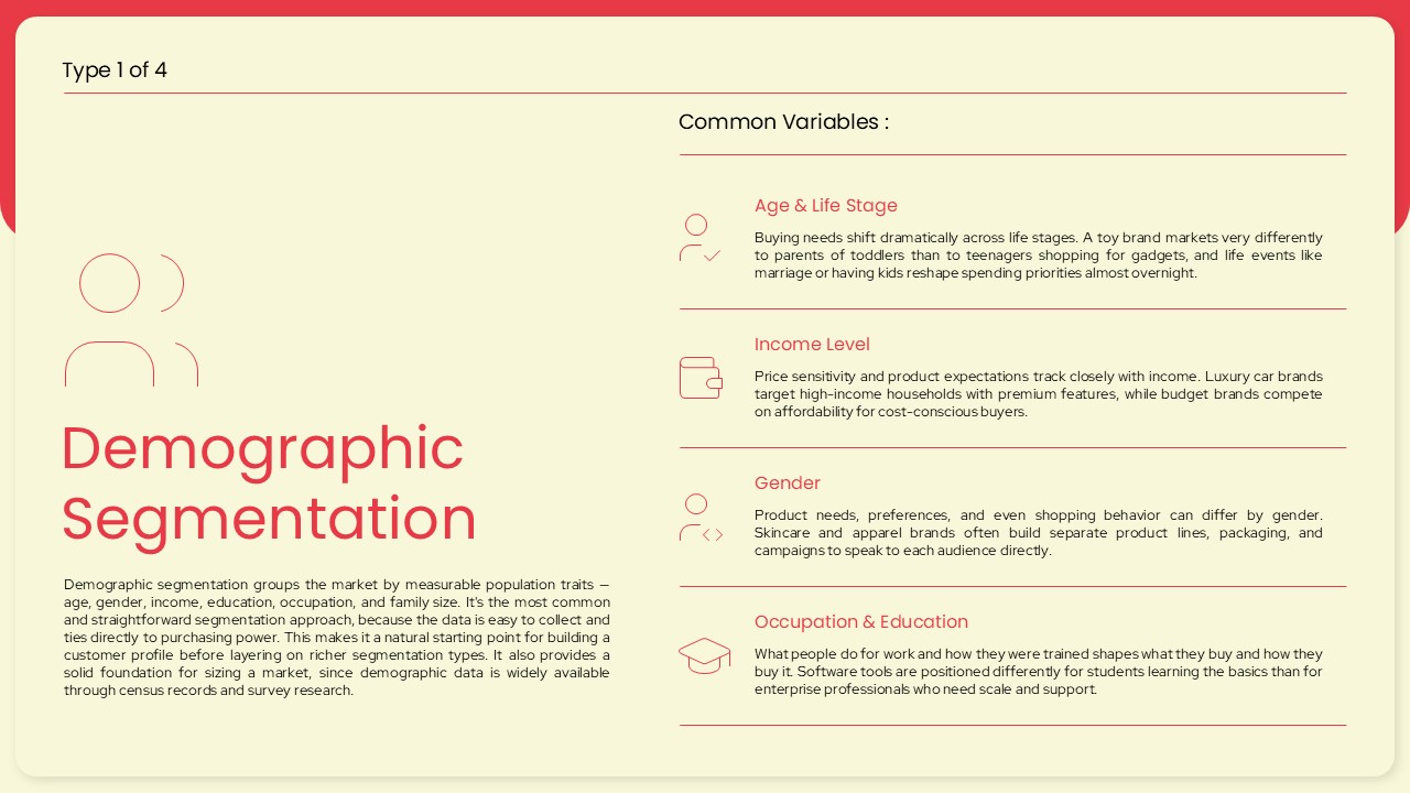 demographic segmentation presentation slide
