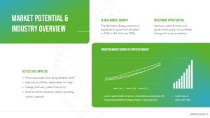 market potential introduction overview slide