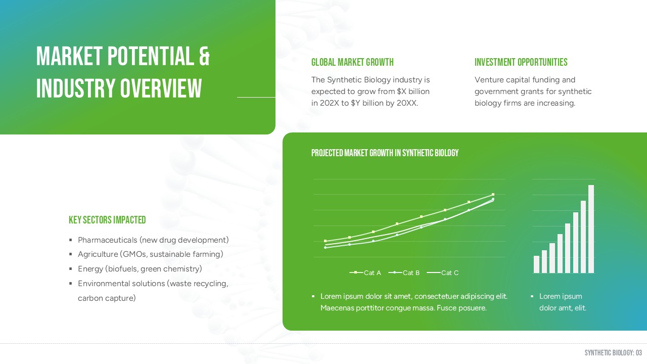 market potential introduction overview slide