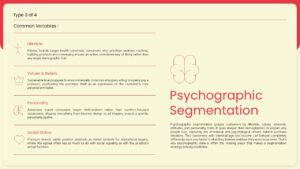 psychographic segmentation powerpoint slide
